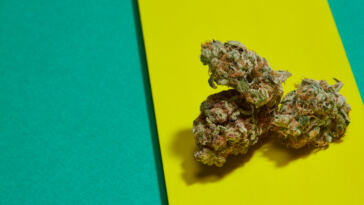 the-8-best-mint-strains