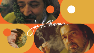 america’s-best-jack-herer-for-jack-herer-day-and-beyond