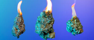 the-8-best-fire-strains