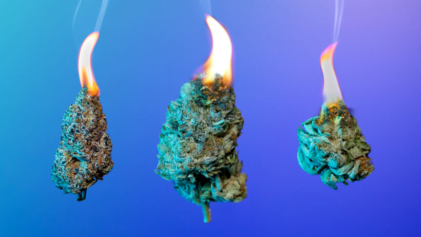 the-8-best-fire-strains