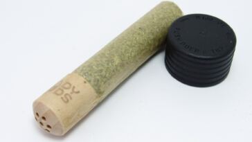 3-girthy,-top-shelf-california-handrolls-that’ll-fade-you