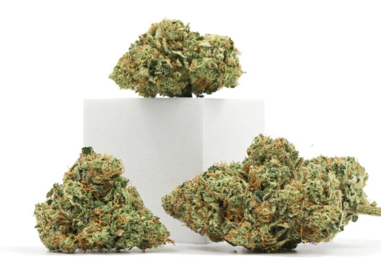 leafly’s-top-cbd-strains—summer-2023