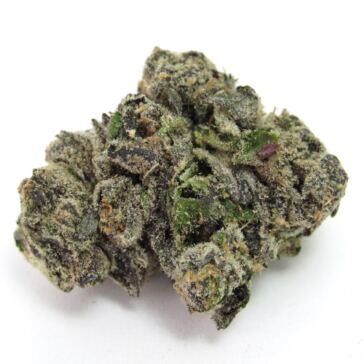 gas-face—seed-junky-genetics,-ca,-winter-2023